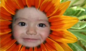 1326400153015_scrapeenet