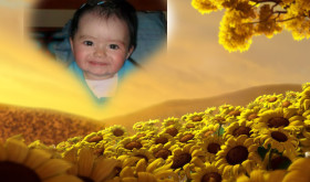 Girasol