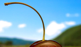 Manzana