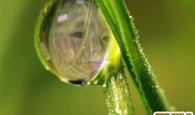 Montaje gota de agua