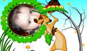 Timon