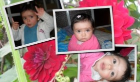 collage