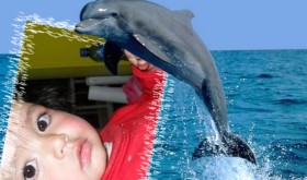fotomontaje-delfin