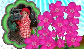marco-flores