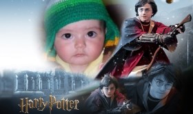 fotomontaje-harry