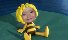 montaje abeja maya