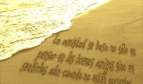 Editar texto gratis en scrapee.net