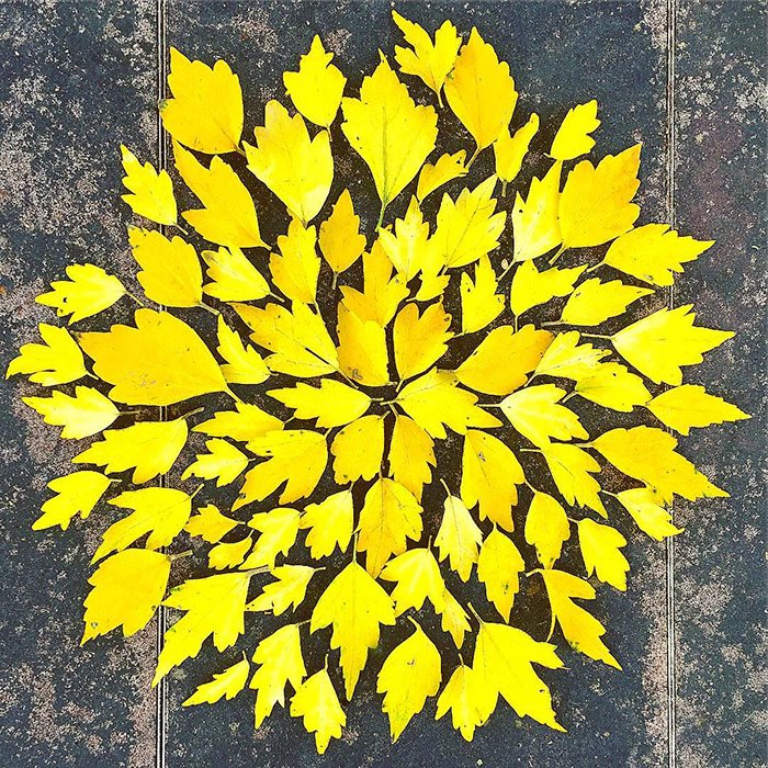 arte de hojas caidas-3
